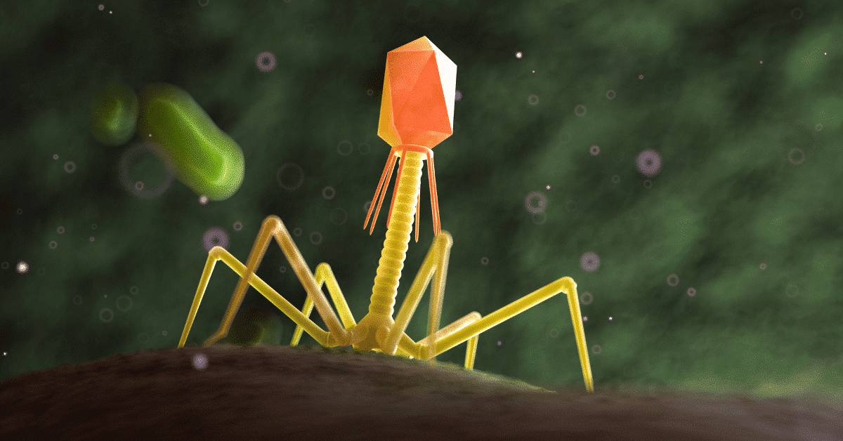 Phage Test for Active Tick-borne Infections