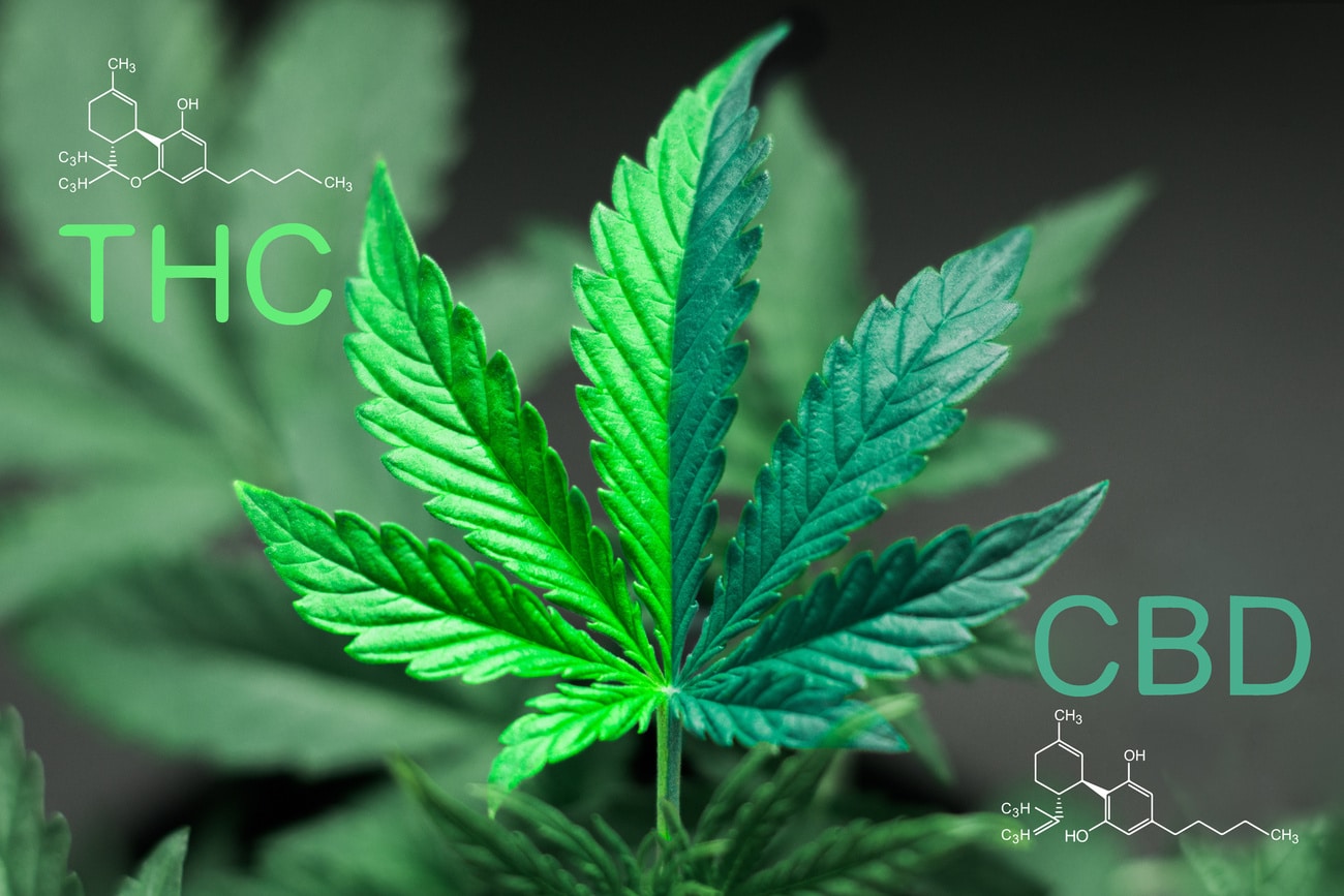 Medical Marijuana, Cannabis, & CBD for Lyme