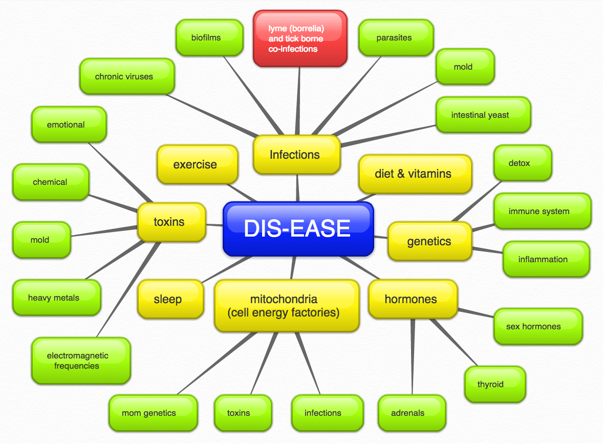 What is Lyme Disease? A Mess of Things
