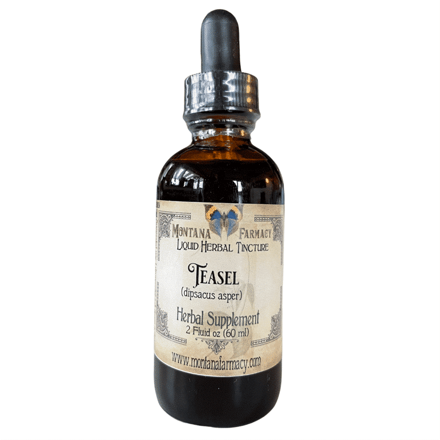 Teasel herbal supplement tincture in a 2-ounce bottle